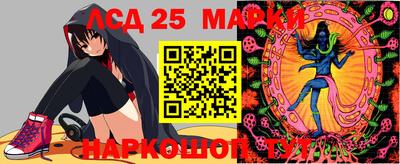 прущие грибы Заводоуковск
