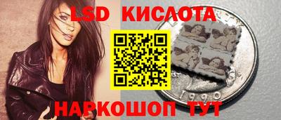прущие грибы Заводоуковск