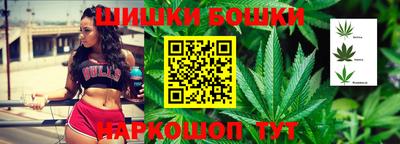 прущие грибы Заводоуковск