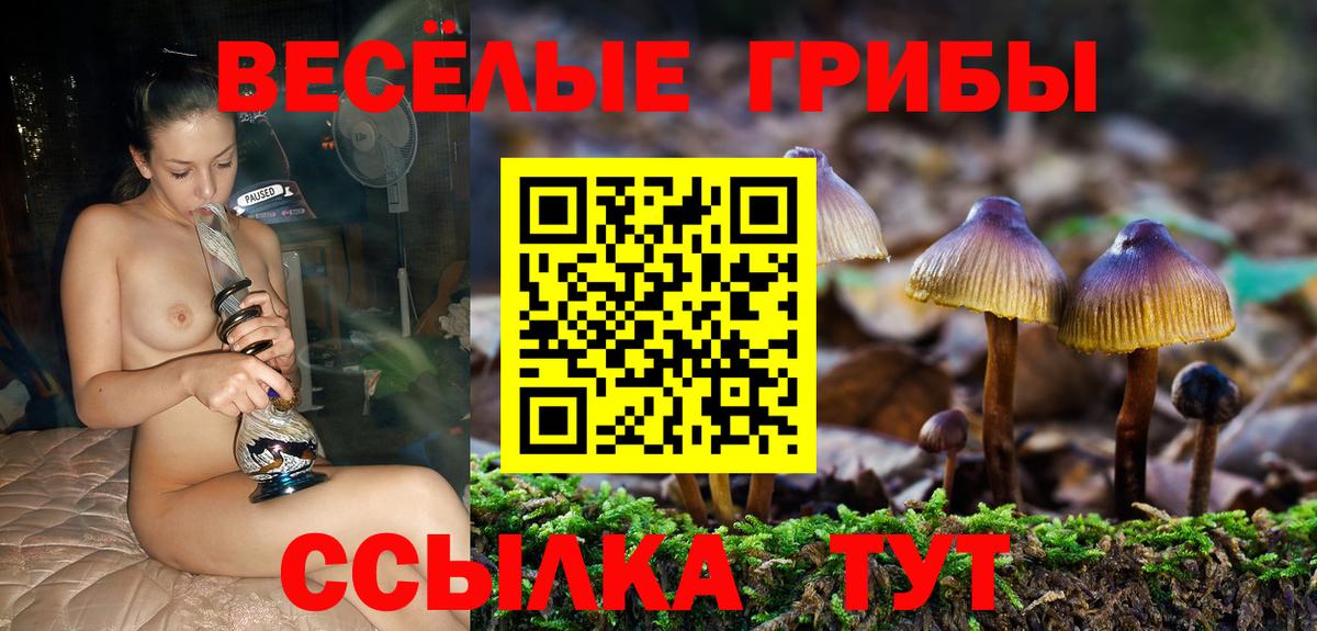 Галлюциногенные грибы Cubensis Ижевск
